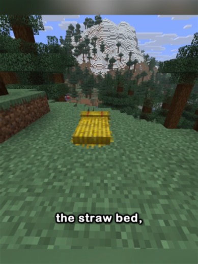 NEW ITEM: THE STRAW BED | minecraft update