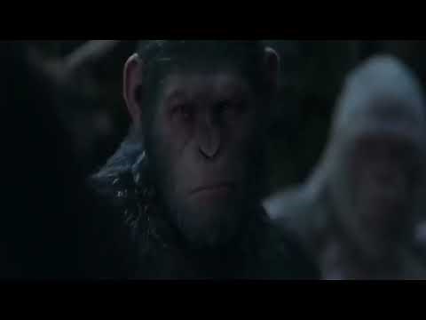 War for the planet of Apes in English Full HD