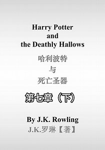 《哈利波特与死亡圣器》第七章（下） The Will of Albus Dumbledore 阿不思·邓布利多的遗嘱#harrypotter#哈利波特#哈利波特与死亡圣器#阿不思邓布利多之死#邓布利多的遗嘱 - 抖音