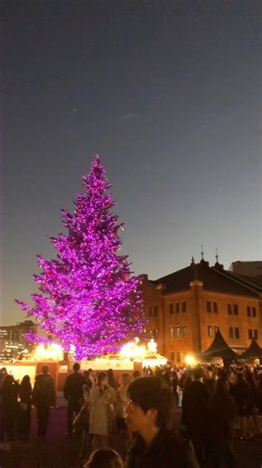 街ぶら 横浜 赤レンガ倉庫 クリスマスマーケット イルミネーション #japan #vlogs #vlog #クリスマス #streetstroll #街ぶら #イルミネーション #赤レンガ倉庫