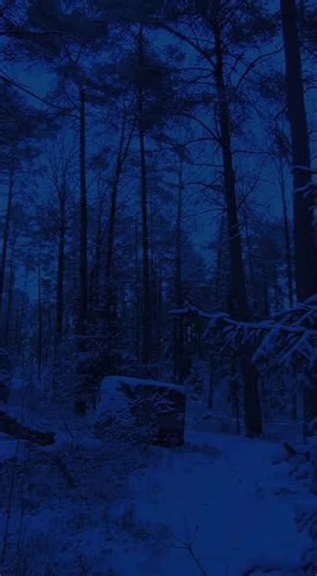 relax. #dreamcore #dreamcoreaesthetic #dreamcore👁️🌈🍄 #winter #fyp