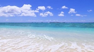 Beautiful Beach Okinawa Stock Footage Video (100% Royalty-free) 23300590 | Shutterstock