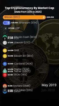 Top Crypto Currency By Market Cap - Data From 2013 to 2025