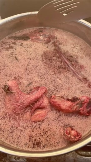 Cooking Geese Recipe: Delicious Goose Dishes