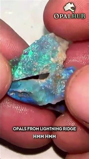 SOLD 🔨 Inside a Real Lightning Ridge Opal Auction | Honest Live Opal Buying