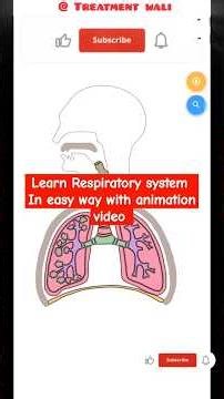 learn respiratory system 🫁 in easy way with animation video , lean respiratory system in detail 👈