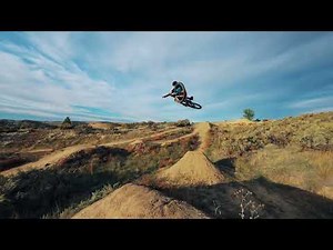 A Walk in the Park With Andrew Taylor