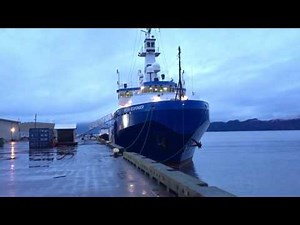Swarm of Starlings flying in formation