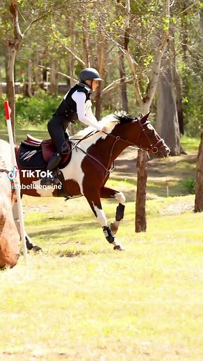 Pony power 💥 #imported #ponyjumper #equestrian #horsegirl