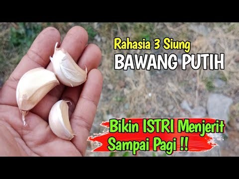 The secret function of 3 cloves of garlic ‼️