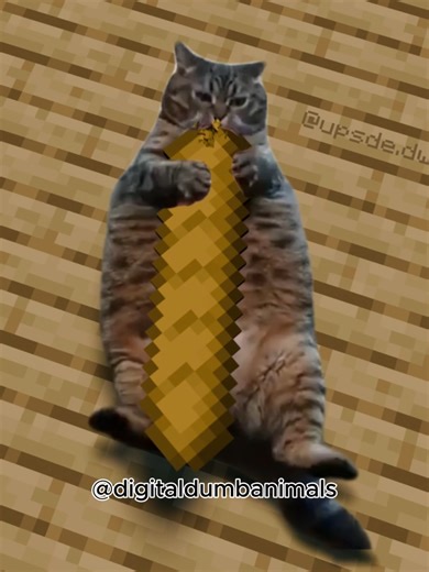 Exploring Minecraft Cats: Fun Facts and Tips