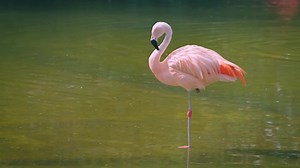 We’re pleased to share that our Elekta Harmony linear accelerator has won two awards from iF International Forum Design (iF DESIGN) – for product design and for our launch campaign. Here, read more about the features that won over jurors, including a design that allows the patient experience to take center-stage ➡️ https://bit.ly/3rP1Mbb #radonc #radiotherapy #WeBuildHope #ifdesignaward2022 | Elekta