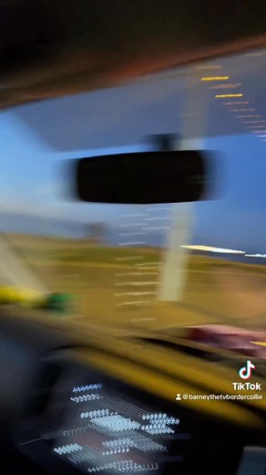 5.5K views · 370 reactions | Barney watches Blackpool’s illuminations like a wide eyed child#blackpoolilluminations#react#reaction | Stephen Kelleher | Facebook