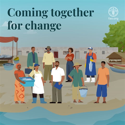 3.5K views · 83 reactions | Small-scale fisheries account for 40% of...