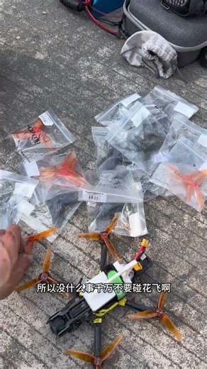 Heartache in a Blade's Dance: The Tragic Tale of Flower Fly