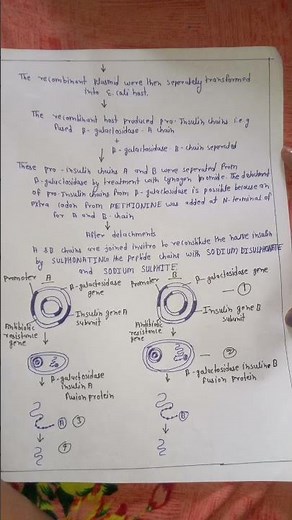 recombinant DNA technology steps with diagram and example insulin production