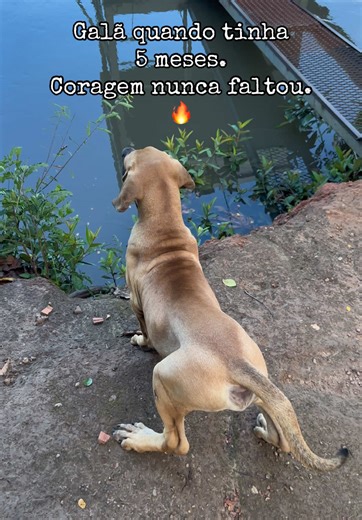 Galã com 5 meses: A coragem nunca faltou