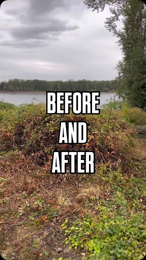 Before —> After. Brush clearing that would take a team weeks by hand can be transformed in just a few hours with Shaffer Excavation. We handle the heavy work quickly and efficiently, turning overgrown areas into clean, usable space. What feels overwhelming on your own is a straightforward job for our team. #ShafferExcavation #LandClearing #SitePreparation #ExcavationExperts #Groundwork | Shaffer Excavation