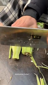 1.7M views · 10K reactions | Boss apna kam manager ko deta ha !...