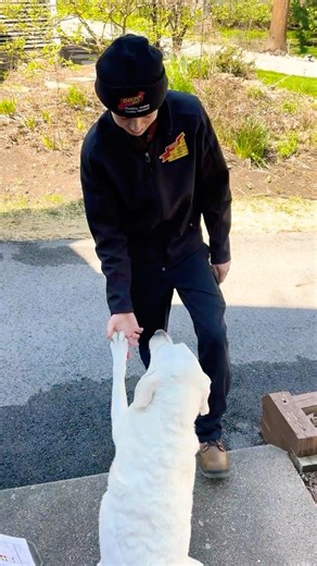 1 Awesome Puppy & 3 AC Units Cleaned in One Day (Satisfying) #diy