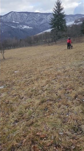 Puppy Learns Send Command 🐾