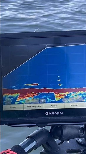 Catfish vertical fishing with Garmin panoptix lvs 34 + echomap ultra 102 sv bookscope #fishing