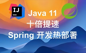 十倍提速:Java 11 Spring开发热部署 免费支持Gradle Maven Kotlin【4K】