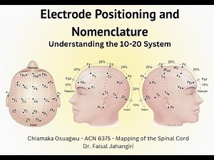 International 10-20 System for Electrode Positioning & Nomenclature
