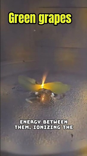 Grape Plasma in a Microwave! 🔥