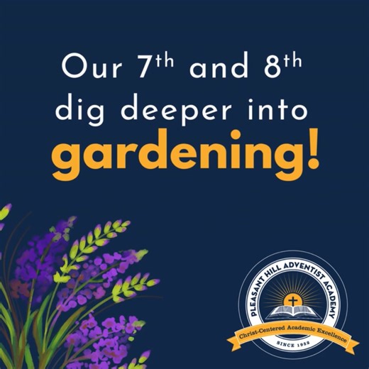Our 7th–8th graders are getting their hands dirty—in the best way! Through our gardening project, students are learning about their plants as they care for and watch their garden grow. It’s a meaningful, hands-on experience that connects science and real-world learning right here on campus. | Pleasant Hill Adventist Academy
