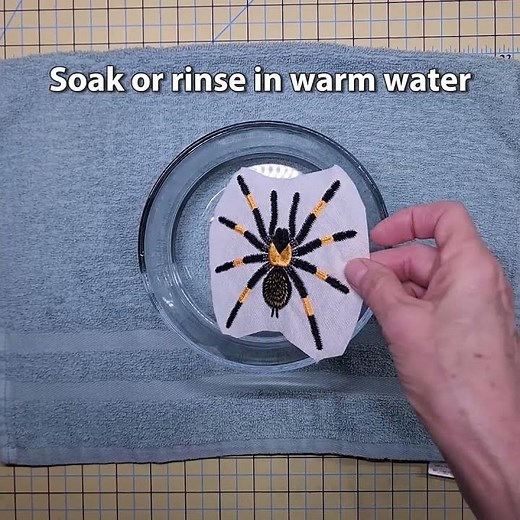 FSL Red Leg Tarantula machine embroidery design