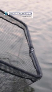 12 reactions | Mick Brown and his love for Pike - ‘The Pike and I’ on...