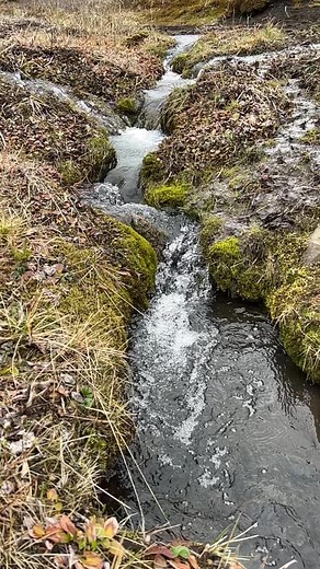 One of the prettiest camping spots ever in Alaska! #hunting #bearhunting #Hunter #ruggedexpeditions | J Alain Smith