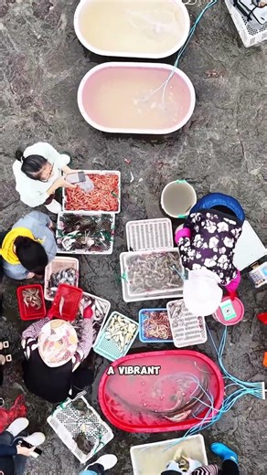 Sea Turns Into Floating Market in China | Incredible Coastal Fishing Trade