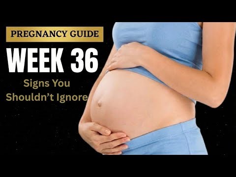 Week 36 Pregnancy | Baby Development, Labor Signs & What to Expect