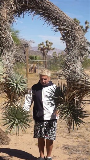 Justin Barona on Instagram: "Misfits - Saturday Night 🙌 This one is for Jenna and Cal! This is to Celebrate the new wedding ahead in Scotland. I know you got married In Vegas already and you want to keep the love and magic going. So blessed to celebrate with you Just Tat Em style with this Classic Misfits song! Saturday night. Thank you both for rocking with me and thank you Kerr for making this all happen. God Bless 🙏 #misfits #saturdaynight #justtatem #joshuatree"