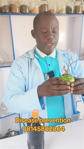 Understanding African Herbal Medicine for Disease Prevention