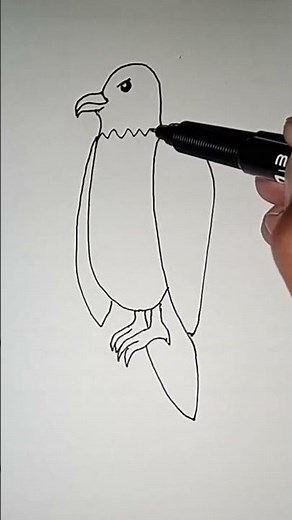 How to draw a Falcon.. Easy Falcon drawing tutorial #sikandarrazaartgallery #art #falcon #howtodraw