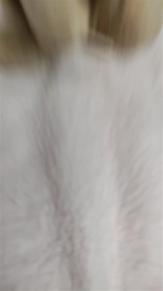 🎵max & ruby🎶 #creepy #creepyplush #creepyplushie #creepyplushies #creepystuffedanimal #creepycore #creepytok #creepyartist #weirdcore #weirdplushies #plushartist