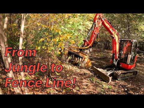 This Backyard Was a Jungle — Now It’s Ready for a Dog Fence