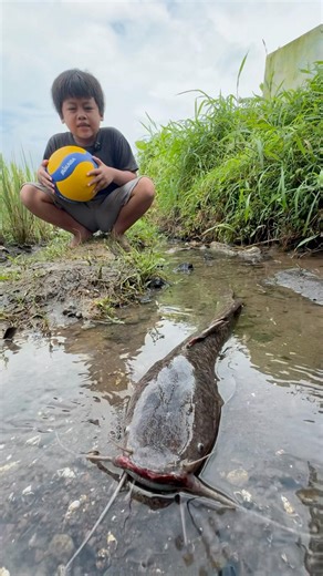 Bocil menemukan buaya langsung kabur 😂 #kabur #dramabocil #dramalucu #nemu #buaya #ngabuburit
