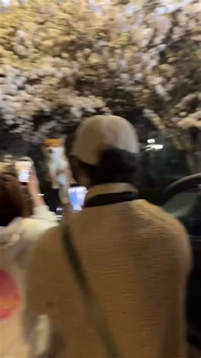 3Ar7cHBu1dTmXg7enyq1utYvCeB2M4WCud2eGWgNsZno蠢逼们，这个是对的。内盘PVP我操你妈的。