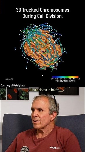 Everything in life happens statistically - Eric Betzig