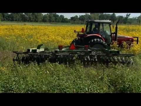 Managing Wetlands (Pt 1 of 2)