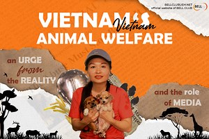 VIETNAM’S ANIMAL WELFARE: AN URGE FROM THE REALITY AND THE ROLE OF MEDIA - Câu lạc bộ Anh văn BELL