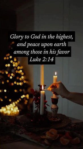 Peace on earth 🕊️ | Luke 2:14