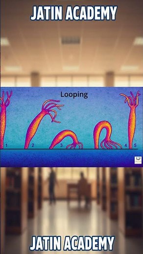 How Does Hydra Move? 🌊 | Looping & Somersaulting| Easy Science Shorts| Junior Science| Science Short