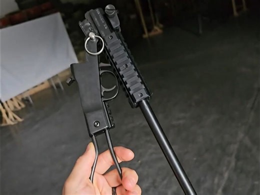 简单便宜的小獾和AR7生存步枪