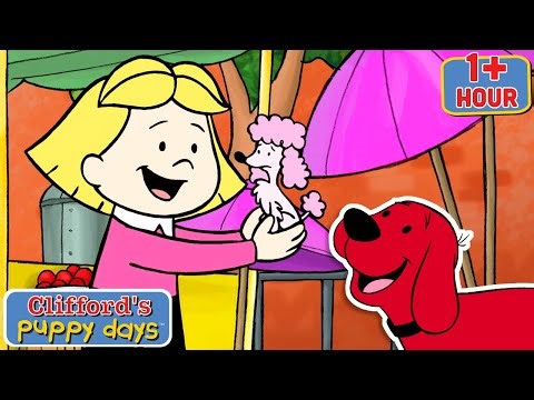 Little Puppy Pals | Full Episodes | Cartoons for Kids | Clifford's Puppy Days
