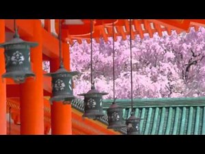 Ｇigliola Cinquetti ｼﾞﾘｵﾗ・チンクェッティ SAKURA さくら